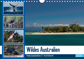 Wildes Australien – Naturparadies 5. Kontinent (Wandkalender 2020 DIN A4 quer) von Photo4emotion.com