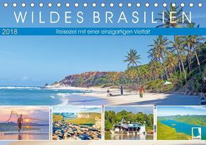 Wildes Brasilien: Reiseziel mit einer einzigartigen Vielfalt (Tischkalender 2018 DIN A5 quer) von CALVENDO