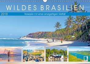 Wildes Brasilien: Reiseziel mit einer einzigartigen Vielfalt (Wandkalender 2018 DIN A3 quer) von CALVENDO