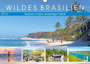 Wildes Brasilien: Reiseziel mit einer einzigartigen Vielfalt (Wandkalender 2019 DIN A3 quer) von CALVENDO