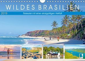 Wildes Brasilien: Reiseziel mit einer einzigartigen Vielfalt (Wandkalender 2019 DIN A4 quer) von CALVENDO