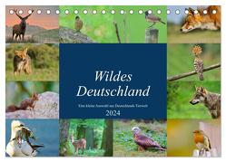 Wildes Deutschland (Tischkalender 2024 DIN A5 quer), CALVENDO Monatskalender von Freund,  Andreas"aFriend"