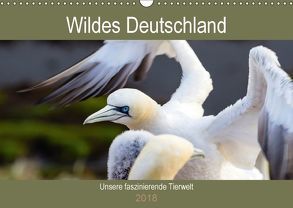 Wildes Deutschland – Unsere faszinierende Tierwelt (Wandkalender 2018 DIN A3 quer) von Webeler,  Janita
