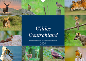 Wildes Deutschland (Wandkalender 2020 DIN A3 quer) von Freund,  Andreas"aFriend"