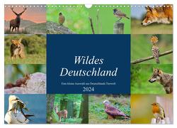 Wildes Deutschland (Wandkalender 2024 DIN A3 quer), CALVENDO Monatskalender von Freund,  Andreas"aFriend"
