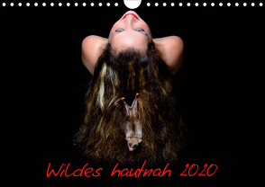 Wildes hautnah 2020 (Wandkalender 2020 DIN A4 quer) von Maywald,  Armin
