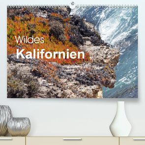 Wildes Kalifornien (Premium, hochwertiger DIN A2 Wandkalender 2020, Kunstdruck in Hochglanz) von Blass,  Bettina