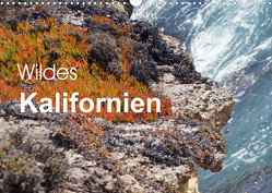 Wildes Kalifornien (Wandkalender 2023 DIN A3 quer) von Blass,  Bettina