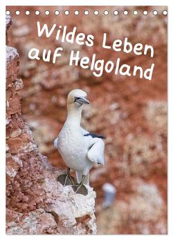 Wildes Leben auf Helgoland (Tischkalender 2024 DIN A5 hoch), CALVENDO Monatskalender von Voss,  Kathrin