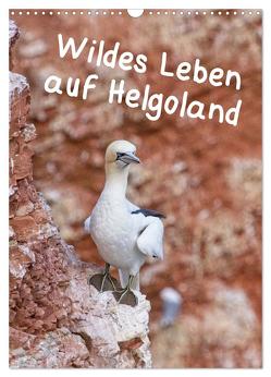 Wildes Leben auf Helgoland (Wandkalender 2024 DIN A3 hoch), CALVENDO Monatskalender von Voss,  Kathrin