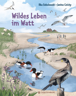 Wildes Leben im Watt von Czichy,  Janine, Sokolowski,  Ilka