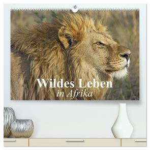 Wildes Leben in Afrika (hochwertiger Premium Wandkalender 2024 DIN A2 quer), Kunstdruck in Hochglanz von Stanzer,  Elisabeth