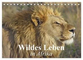 Wildes Leben in Afrika (Tischkalender 2024 DIN A5 quer), CALVENDO Monatskalender von Stanzer,  Elisabeth