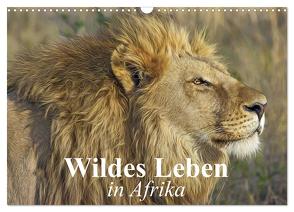 Wildes Leben in Afrika (Wandkalender 2024 DIN A3 quer), CALVENDO Monatskalender von Stanzer,  Elisabeth