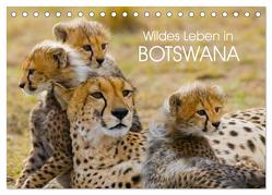 Wildes Leben in Botswana (Tischkalender 2024 DIN A5 quer), CALVENDO Monatskalender von Stanzer,  Elisabeth