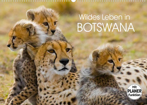 Wildes Leben in Botswana (Wandkalender 2022 DIN A2 quer) von Stanzer,  Elisabeth