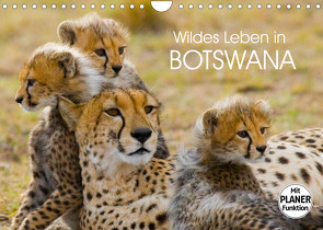 Wildes Leben in Botswana (Wandkalender 2022 DIN A4 quer) von Stanzer,  Elisabeth