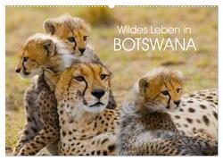 Wildes Leben in Botswana (Wandkalender 2024 DIN A2 quer), CALVENDO Monatskalender von Stanzer,  Elisabeth