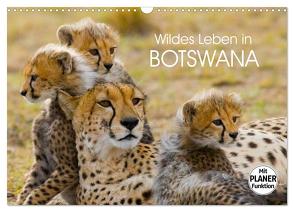 Wildes Leben in Botswana (Wandkalender 2024 DIN A3 quer), CALVENDO Monatskalender von Stanzer,  Elisabeth