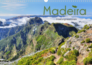Wildes Madeira – Inselimpressionen (Wandkalender 2023 DIN A3 quer) von Stamm,  Dirk