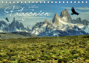 Wildes Patagonien – Abenteuer am Ende der Welt (Tischkalender 2020 DIN A5 quer) von Stamm,  Dirk