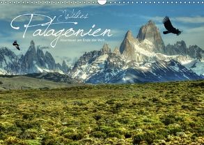 Wildes Patagonien – Abenteuer am Ende der Welt (Wandkalender 2018 DIN A3 quer) von Stamm,  Dirk