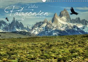 Wildes Patagonien – Abenteuer am Ende der Welt (Wandkalender 2019 DIN A3 quer) von Stamm,  Dirk