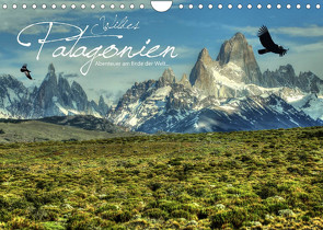 Wildes Patagonien – Abenteuer am Ende der Welt (Wandkalender 2022 DIN A4 quer) von Stamm,  Dirk