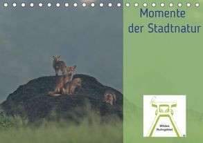 Wildes Ruhrgebiet – Momente der Stadtnatur (Tischkalender 2019 DIN A5 quer) von Ruhrgebiet,  Wildes