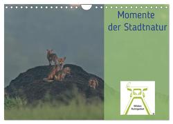 Wildes Ruhrgebiet – Momente der Stadtnatur (Wandkalender 2024 DIN A4 quer), CALVENDO Monatskalender von Ruhrgebiet,  Wildes