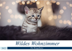 Wildes Wohnzimmer – Die Bengalkatze (Wandkalender 2022 DIN A2 quer) von meets Elos Photography,  Robyn