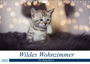 Wildes Wohnzimmer – Die Bengalkatze (Wandkalender 2022 DIN A4 quer) von meets Elos Photography,  Robyn