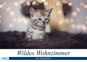 Wildes Wohnzimmer – Die Bengalkatze (Wandkalender 2023 DIN A3 quer) von meets Elos Photography,  Robyn