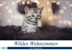Wildes Wohnzimmer – Die Bengalkatze (Wandkalender 2023 DIN A4 quer) von meets Elos Photography,  Robyn