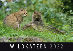 Wildkatzen 2022 von Quelle & Meyer Verlag