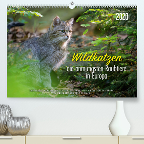 Wildkatzen – die anmutigsten Raubiere in Europa. (Premium, hochwertiger DIN A2 Wandkalender 2020, Kunstdruck in Hochglanz) von Gerlach,  Ingo