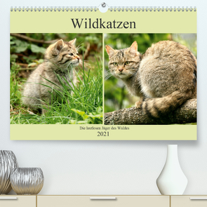 Wildkatzen – Die lautlosen Jäger des Waldes (Premium, hochwertiger DIN A2 Wandkalender 2021, Kunstdruck in Hochglanz) von Klatt,  Arno