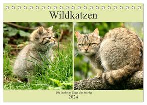 Wildkatzen – Die lautlosen Jäger des Waldes (Tischkalender 2024 DIN A5 quer), CALVENDO Monatskalender von Klatt,  Arno