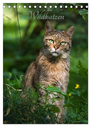 Wildkatzen – scheue Jäger (Tischkalender 2024 DIN A5 hoch), CALVENDO Monatskalender von the Snow Leopard,  Cloudtail