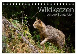 Wildkatzen – scheue Samtpfoten (Tischkalender 2024 DIN A5 quer), CALVENDO Monatskalender von the Snow Leopard,  Cloudtail
