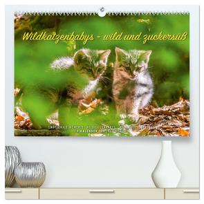 Wildkatzenbabys – wild und zuckersüß. (hochwertiger Premium Wandkalender 2024 DIN A2 quer), Kunstdruck in Hochglanz von Gerlach,  Ingo