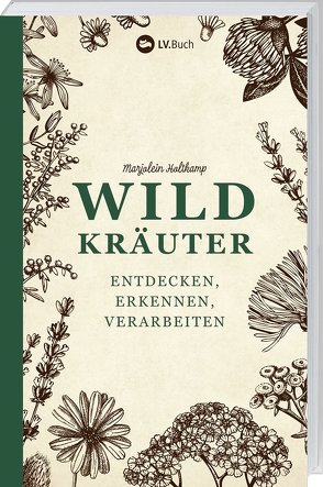 Wildkräuter entdecken, erkennen und verarbeiten von Holtkamp,  Marjolein