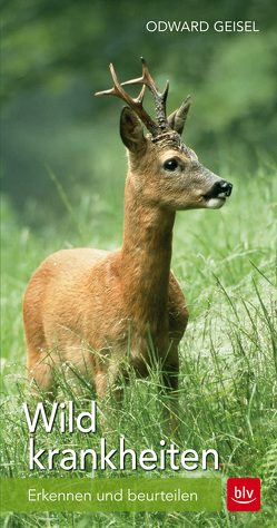 Wildkrankheiten von Geisel,  Odward