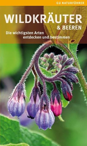 Wildkräuter und Beeren von Hofmann,  Helga