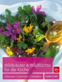 Wildkräuter & Wildfrüchte für die Küche von Scherf,  Gertrud