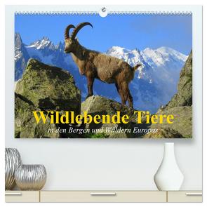 Wildlebende Tiere in den Bergen und Wäldern Europas (hochwertiger Premium Wandkalender 2024 DIN A2 quer), Kunstdruck in Hochglanz von Stanzer,  Elisabeth
