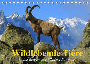 Wildlebende Tiere in den Bergen und Wäldern Europas (Tischkalender 2022 DIN A5 quer) von Stanzer,  Elisabeth