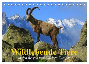 Wildlebende Tiere in den Bergen und Wäldern Europas (Tischkalender 2024 DIN A5 quer), CALVENDO Monatskalender von Stanzer,  Elisabeth