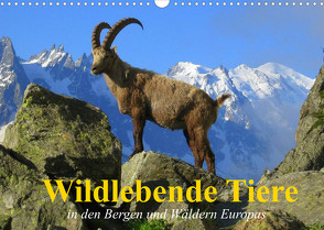 Wildlebende Tiere in den Bergen und Wäldern Europas (Wandkalender 2022 DIN A3 quer) von Stanzer,  Elisabeth