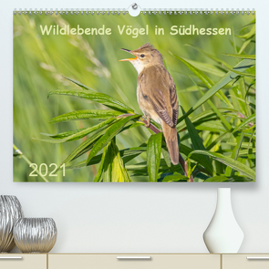 Wildlebende Vögel in Südhessen (Premium, hochwertiger DIN A2 Wandkalender 2021, Kunstdruck in Hochglanz) von Buß,  Daniela